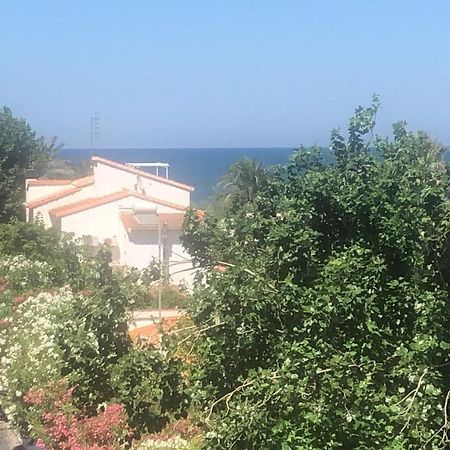 Primera linea de Playa a 1km del puerto de Dénia Exterior foto